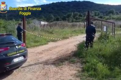 Finte società per ottenere finanziamenti agricoltura: frode da 1,5 mln nel Foggiano