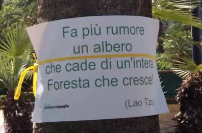 Bari, gli alberi parlano: flash mob ambientalista in piazza Umberto