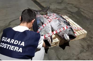 Castro, pesca di frodo: sequestrato un quintale di tonno rosso
