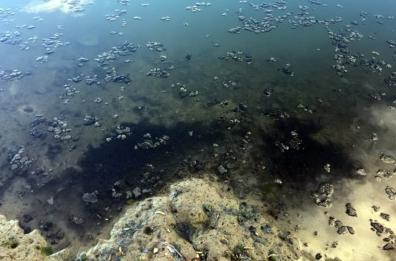Macchie nel lago di Pertusillo: è inquinamento?