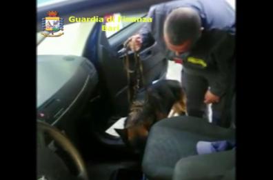 Altamura, italiani e albanesi rifornivano di droga il paese: 2 arresti