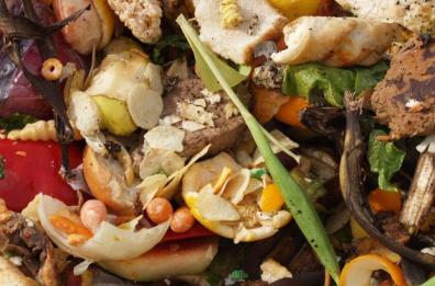Ceglie Messapica, costretta per 18 anni a mangiare gli avanzi di marito e suocera 