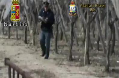 Caporalato, blitz nel nord barese: 6 arresti