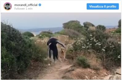Gianni Morandi «In ginocchio da te»: brutta caduta mentre fa jogging col cane