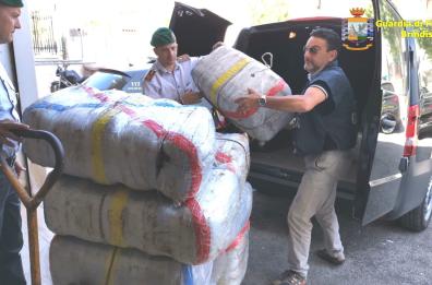 Brindisi, gdf sequestra 218 chili di marijuana: arrestato corriere 