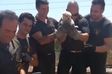 Terlizzi, cucciolo salvato dai vvff: il video condiviso anche da Salvini