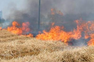 Salento,  un uomo trovato morto in campagna: forse un malore 