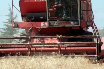 Genzano, schiacciato da mietitrebbia: muore 66enne di Altamura