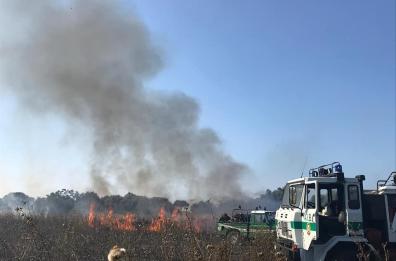 Bari, incendi tra Lama Balice e San Paolo: a fuoco sterpaglie e rifiuti