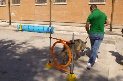Foggia, cani e cavalli nel carcere per un giorno