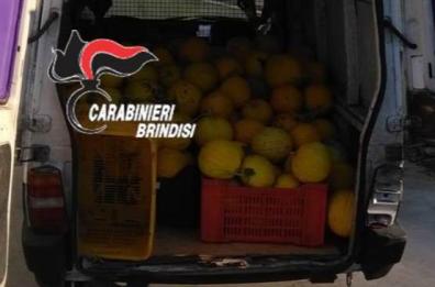 Ruba 6 quintali di meloni in un'azienda, pizzicato al posto di blocco: arrestato 35enne