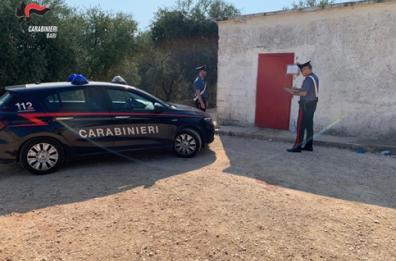 Terlizzi, tenta di uccidere prostituta in un casolare durante rapporto: arrestato