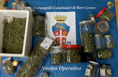 Sannicandro, allaccio abusivo alla rete elettrica per illuminare serra di marijuana: coppia arrestata