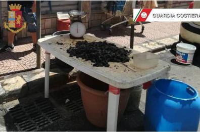 Taranto, sequestrati 70kg di cozze senza certificato: 2 denunce