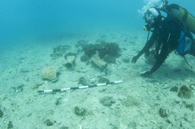 Tra Mola e Polignano: il mare restituisce ossa e un antico relitto