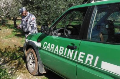 Lavori in zona protetta, sequestrato elettrodotto in costruzione nel Materano