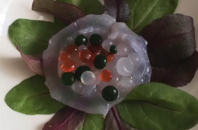 Ricerca UniSalento: «Le meduse sono il cibo del futuro, ricche di proteine»