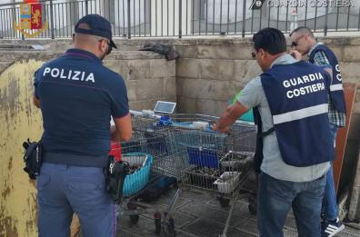 Taranto, sequestrati 3 quintali di cozze di dubbia provenienza, pronte per finire sulle tavole: 2 denunce