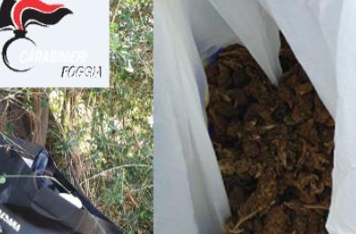 Vieste, mezzo kg di droga nascosta nell'erba: indagano i cc