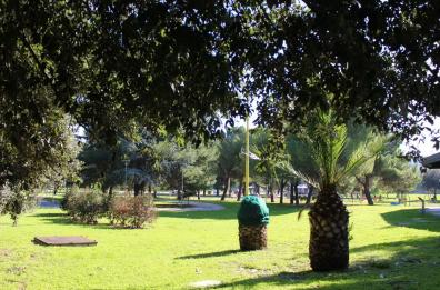 Foggia, bullismo a Parco San Felice: 14enne aggredito da coetanei