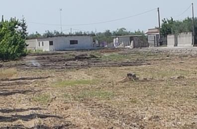 Barletta, la terra «fuma» in via vecchia Canosa 