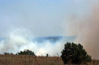 Quasano, vasto incendio in pineta: un'auto carbonizzata