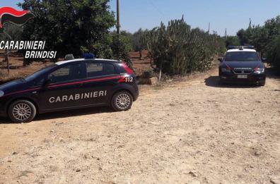Cisternino, picchia il padre e minaccia la madre: arrestato 34enne
