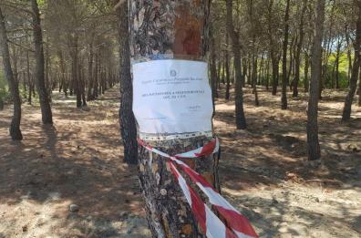 Policoro Lido, sbancamento in area protetta: sequestrati 7 ettari di bosco
