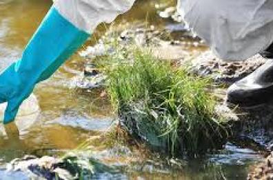 Eco-reati in Basilicata: dietro non c'è la mafia, ma le aziende