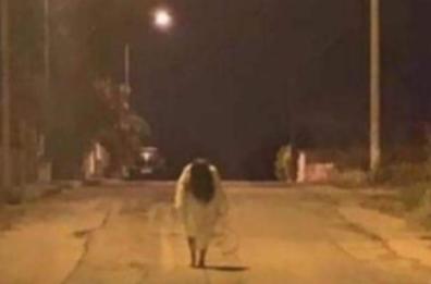Acquaviva, avvistata nella notte Samara: è il primo caso nel Barese