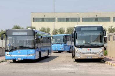 Taranto, sul bus senza biglietto: gambiano prende a pugni autista e gli rompe gli occhiali, denunciato