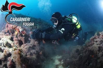 Tremiti, i sub dei Cc trovano reperti archeologici sommersi