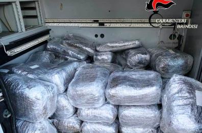Brindisi, cc trovano 2 quintali di marijuana in una casa abbandonata