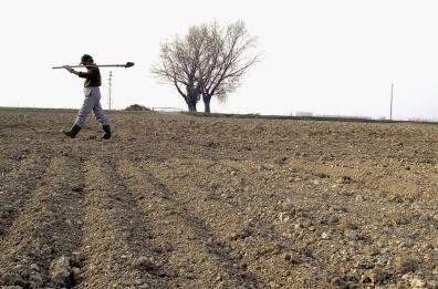 Bari, agricoltori e allevatori choc: «Violiamo le regole per sopravvivere»