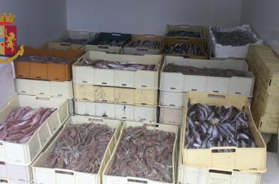 Bari, sequestrati 750 chili di pesce fresco ma senza documenti: finisce tutto ai poveri