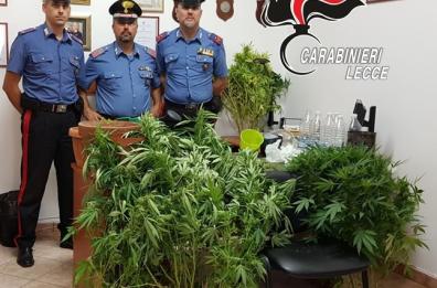 Barletta, detenuto ai domiciliari coltivava droga in casa