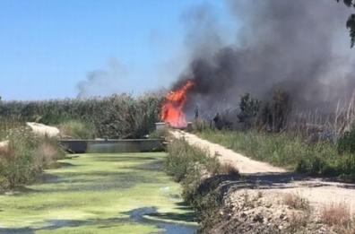 Manfredonia, bruciano ettari di macchia nell'oasi Lago Salso