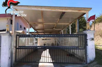Matera, donne pagavano 350 euro per prostituirsi in una villa: 2 arresti