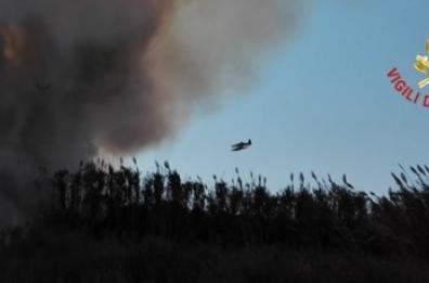Lecce, fiamme nel bosco di Rauccio: intervenuti i Canadair, evacuate case vicine