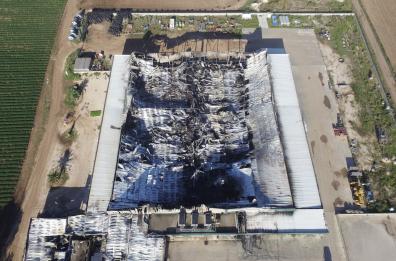 Apricena, incendio distrugge azienda agricola. A rischio 300 famiglie