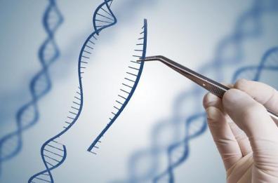 Martina Franca, fuggono dopo inseguimento: 27enne di Brindisi incastrato con Dna
