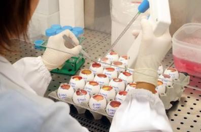 Foggia, danno erariale all'Istituto Zooprofilattico: in 5 condannati a pagare 1 mln di euro