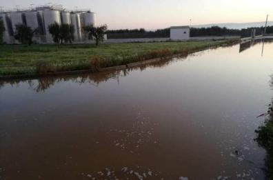 San Severo, sabotaggi a cantine: scatta la gara di solidarietà per salvare azienda