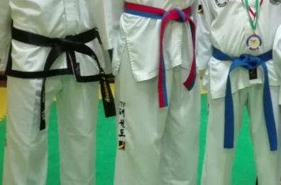 Taekwondo: 3000 atleti in gara, Puglia vince l'Olympic dream cup
