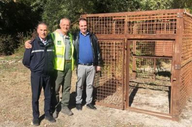Latronico, installata prima gabbia per frenare l'invasione dei cinghiali