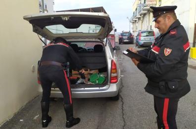 Ferrandina, preso scippatore marocchino: denunciata una donna