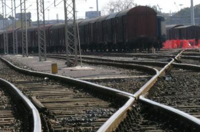 Due cani investiti sui binari nel Barese: traffico fermo, Trenitalia attiva bus sostitutivi