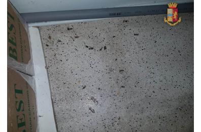 Taranto, vermi nel negozio di alimentari indiano: sequestrati oltre 130kg di prodotti