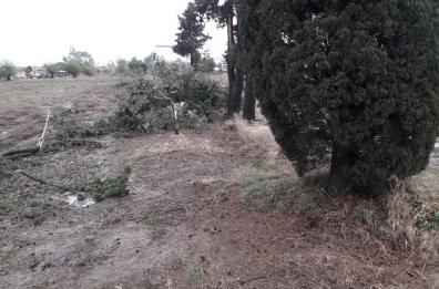 Maltempo, tromba d'aria nel Metapontino, acqua a fiumi per le strade. Domani scuole aperte
