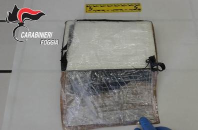 Vieste, in auto con 1 kg di cocaina purissima e 20mila euro: arrestato